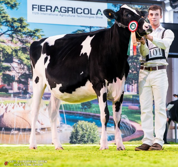 LA PORTEA WINBROOK HOLLY 1st place Class 4 - 18-22 Months Old European Open Holstein Show TJR PORTEA SOC AGR, ALBERTO MEDINA, FLORA HOLSTEINS