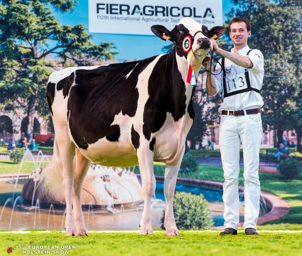 ARRIVA DE BOIS SEIGNEUR 1st place Class 5 - 22-26 Months Old European Open Holstein Show PUSSEMIER EDDY ET JONES, BOIS SEIGNEUR