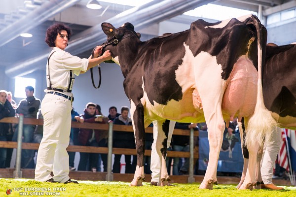 DEBORAH 1st place Class 10 - Junior Three Year Olds European Open Holstein Show