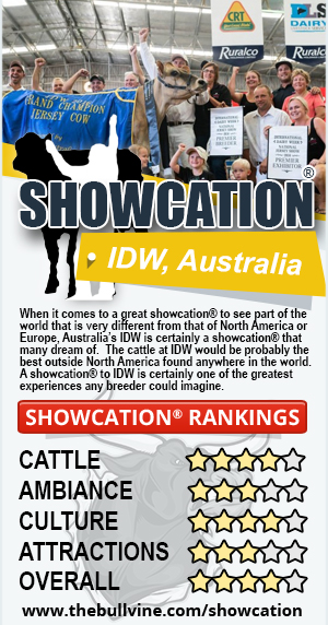 SHOWCATION - IDW Australia - Badge