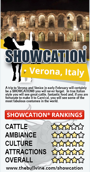SHOWCATION - Verona Italy - Badge