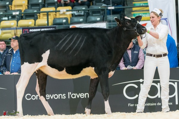 DROLEI DOORMAN MAYCY 1st place Junior Yearling