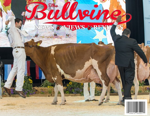 Bullvine Cover 20160625