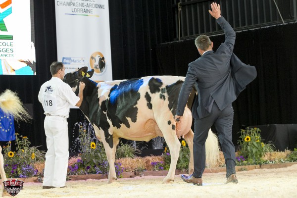 CPP AFTERSHOCK PANDORA Junior Champion All-European Champion Holstein Show Switzerland 