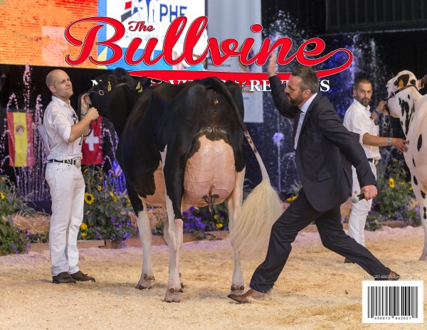bullvine cover 20160620
