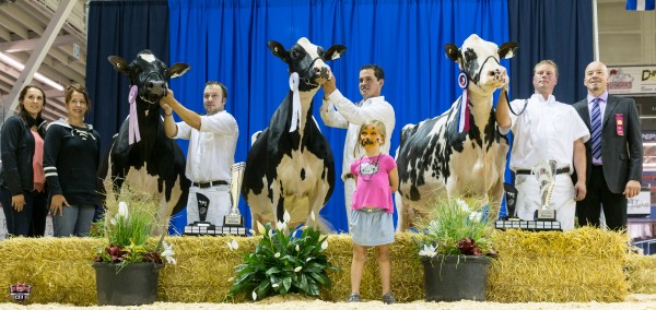 GRAND CHAMPION - Trois Rivieres JACOBS FEVER CAEL (FEVER), 1ST 4YR OLD, FERME JACOBS INC., QC RESERVE GRAND CHAMPION JACOBS GOLD LIANN (GOLD CHIP), 1ST JUNIOR 3YR OLD, FERME JACOBS INC., QC HM GRAND CHAMPION SANTSCHI AFTERSHOCK HOLIDAY (AFTERSHOCK), 1ST SENIOR 2YR OLD, FERME YVON SICARD, QC 