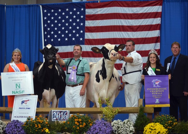 Congratulations to Eaton and Crack of N.Y. with Winter Bay Dude Guiness for winning Intermediate Champion Holstein of the 2016 All American Open Holstein Show, on Sept. 21 at the Farm Show Complex and Expo Center in Harrisburg, Pa. Brooke Hostetter of Quarryville, Lancaster Co. with Missy Daisy’s Gold Dreamer-ET took home Reserve Intermediate Champion Holstein honors. (L-R): Lawrence County Dairy Princess Kara Yannesse; Tom Hill on halter; Aaron Eaton of N.Y., Pa. Dairy Princess Savannah Zanic; and judge Eric Topp of Wapakoneta, Ohio.