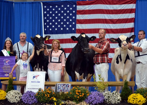 Congratulations to Reese Burdette from Mercersburg, Franklin County for winning Grand Champion Holstein of the 2016 All American Open Holstein Show, with Windy Knoll View Pantene, on Sept. 22 at the Farm Show Complex and Expo Center in Harrisburg, Pa. Chase Savage from Union Bridge, Md took home Reserve Grand Champion Holstein honors with Mor-Yet Goldwayn Faithful ET (L-R): Pa. Dairy Princess Savannah Zanic; Justin Burdette; Reese Burdette; Claire Burdette on halter; Chip Savage on halter; Aaron Eaton on halter. 