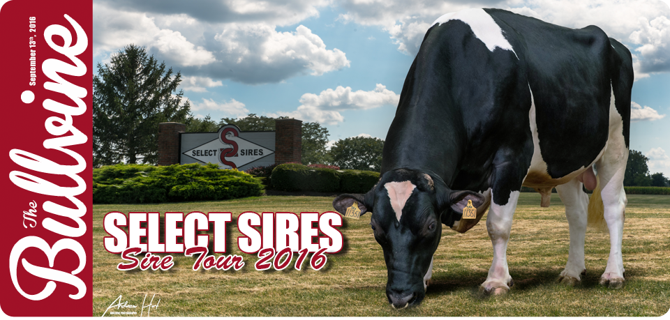 Select Sires 