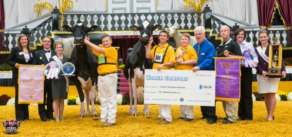 Silvermaple Windham Camille Gtand Champion Christian Cunningham and Miles Price Penngrove, CA Mor-Yet Goldwyn Faithful-ET Reserve Champion Cooper Galton and Chase & Connor Savage Nunda, NY