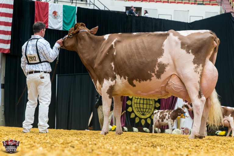 Golden Oaks Farm of Wauconda, IL is happy to announce that the twotime