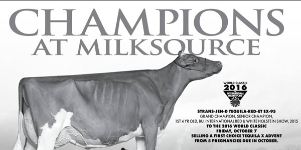 milksource-ad1
