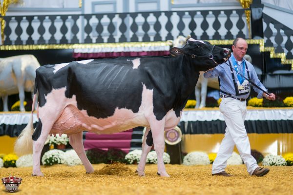 Wendon Dempsey Prude 2016 World Dairy Expo
