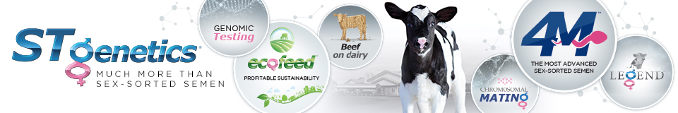 Index The Bullvine The Dairy Information You Want To Know