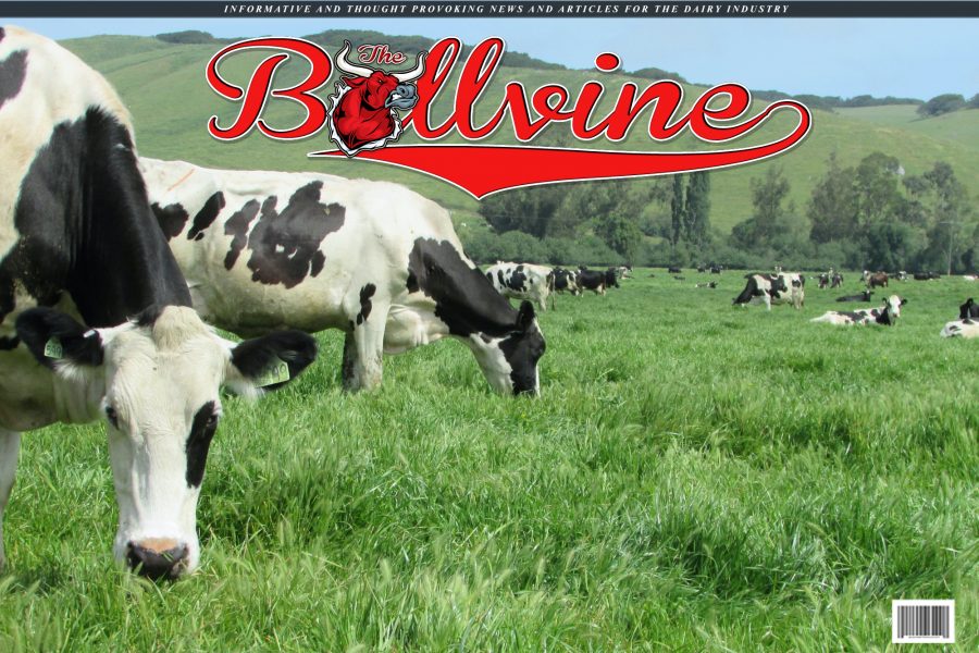 Slate Milk raises additional $1.7m in funding - FoodBev Media