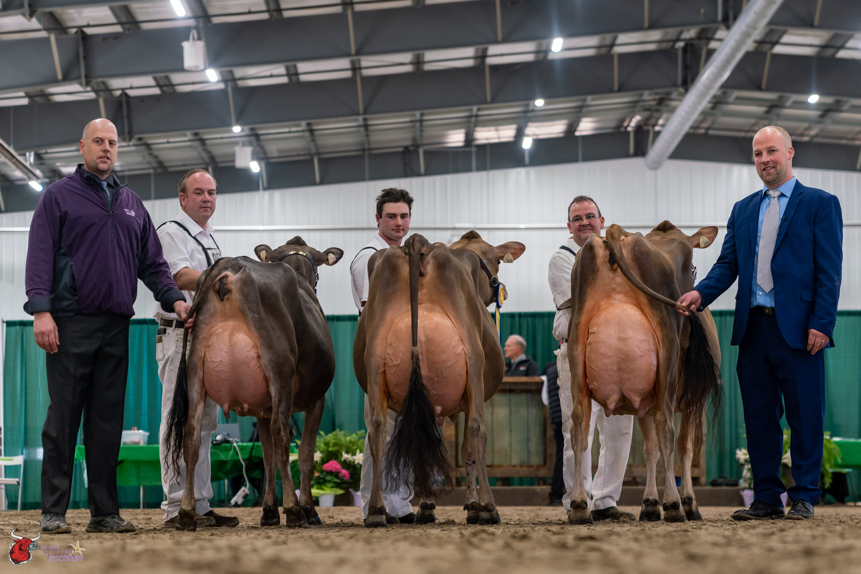 Ontario Spring Discovery Jersey Show 2022
