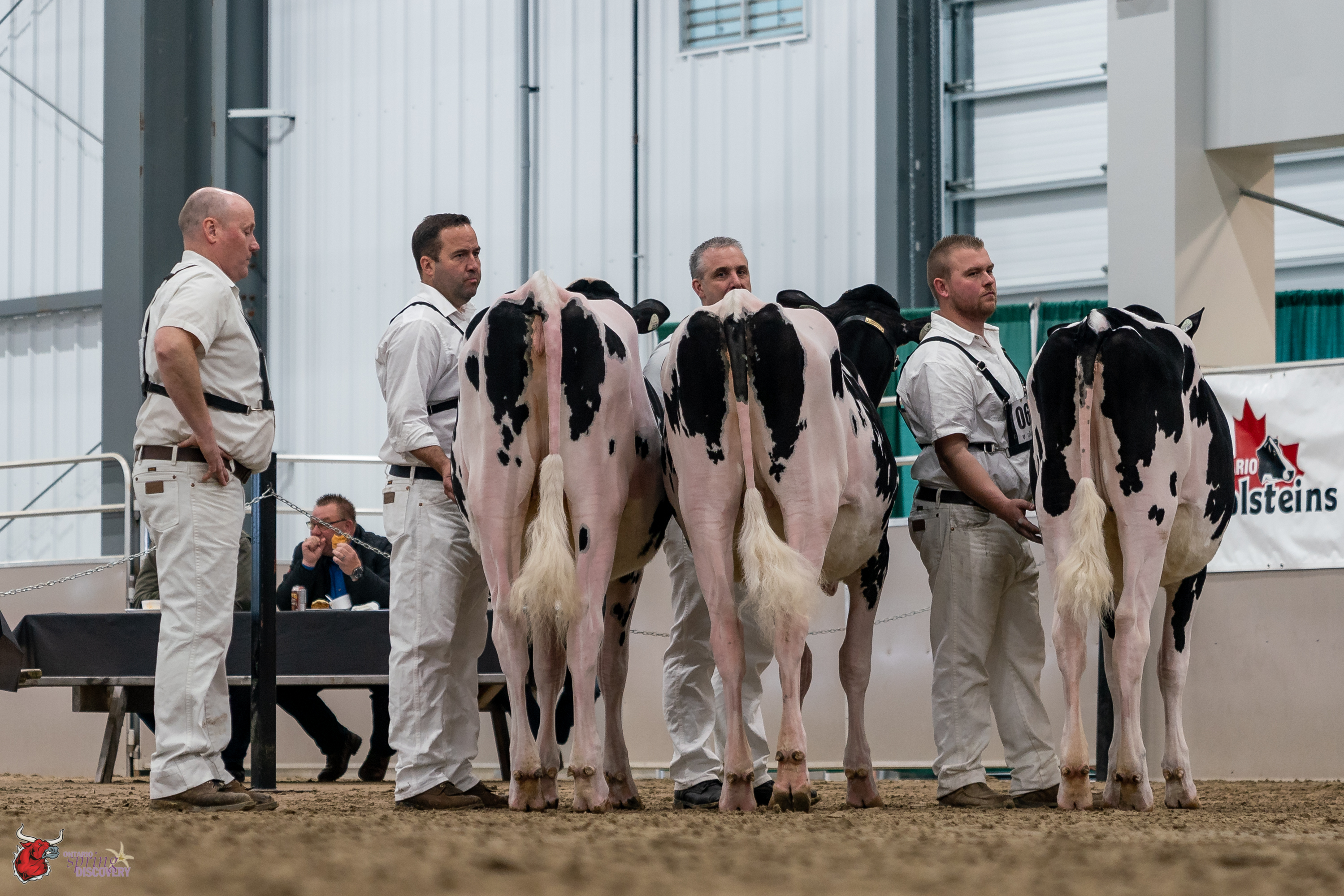 Ontario Spring Discovery Holstein Show 2022