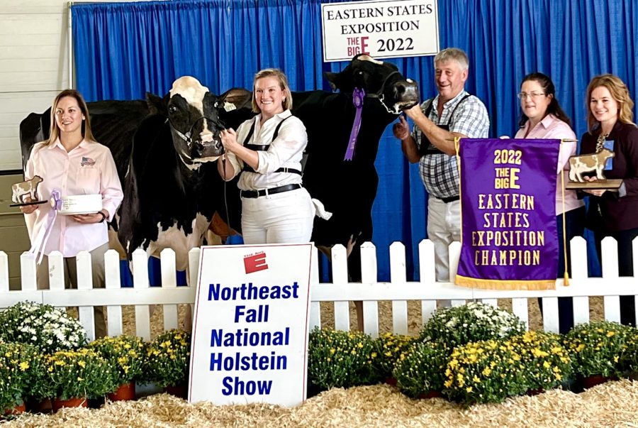 Berautec Gold Fanta Wins Grand Champion of the Northeast Fall National