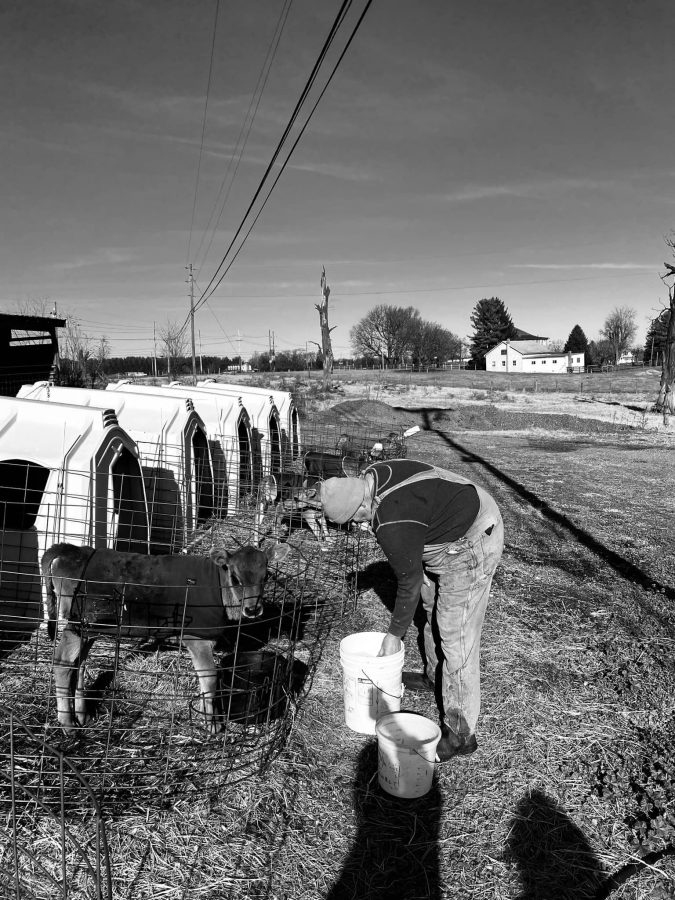 On Tuesday, December 13, 2022, Waverly Farms in Clear Brook, Virginia