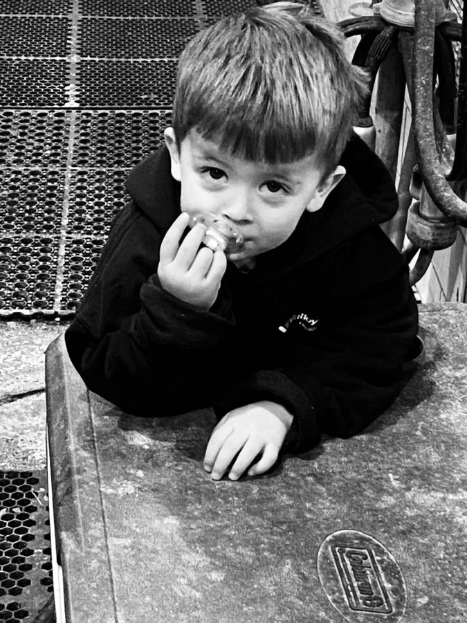 On Tuesday, December 13, 2022, Waverly Farms in Clear Brook, Virginia