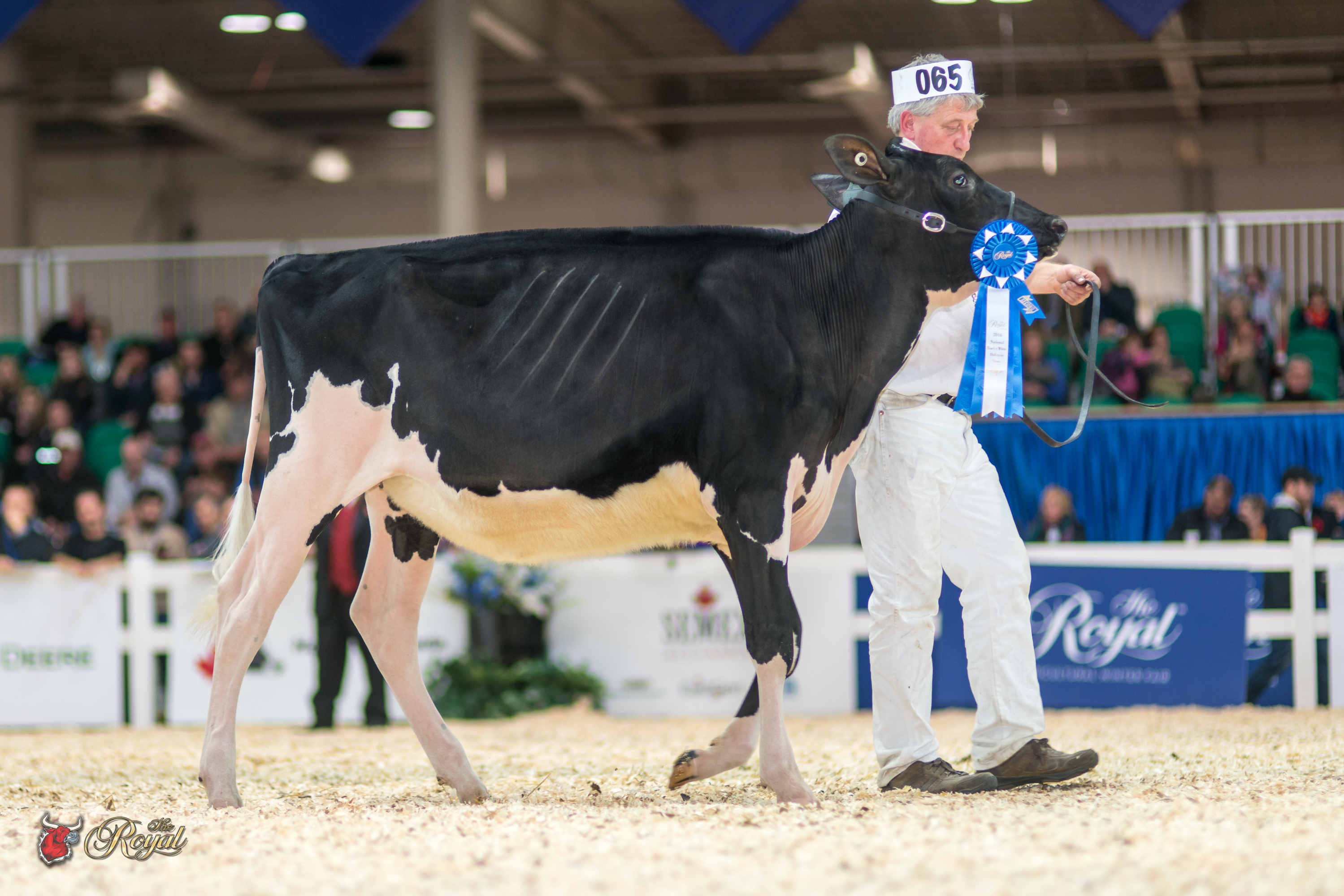AGRIBER, BECKRIDGE, DUPASQUIER, Quality Holsteins Ltd.