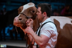 AR309059-2 AR309059-2