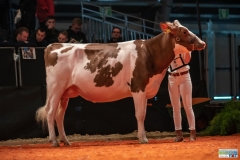 A9304359-2 A9304359-2