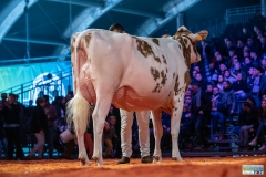 A9304661-2 A9304661-2