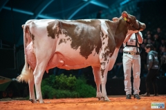 A9305346-2 A9305346-2