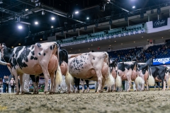 DSC00098-2 DSC00098-2