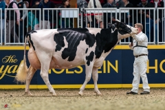 DSC01374-2 DSC01374-2