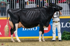 DSC01383-3 DSC01383-3