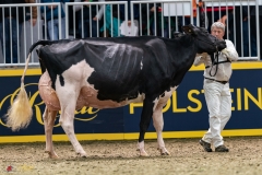 DSC01390-3 DSC01390-3