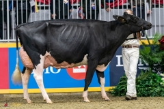 DSC01392-2 DSC01392-2