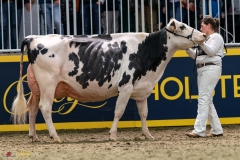 DSC01399-2 DSC01399-2