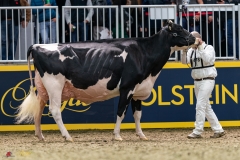 DSC01406-3 DSC01406-3