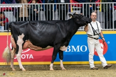 DSC01412-2 DSC01412-2