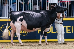 DSC01415-3 DSC01415-3