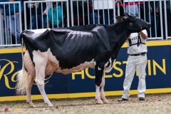 DSC01420-3 DSC01420-3