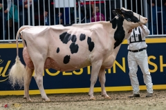 DSC01430-3 DSC01430-3