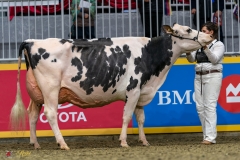 DSC01433-2 DSC01433-2