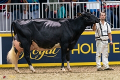 DSC01439-2 DSC01439-2