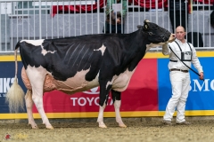 DSC01441-2 DSC01441-2