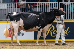 DSC01450-3 DSC01450-3