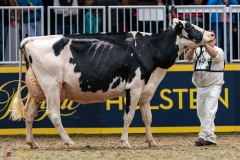 DSC01474-3 DSC01474-3