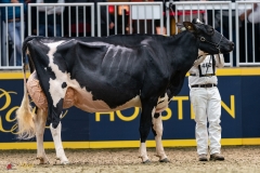 DSC01477-3 DSC01477-3