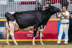 DSC01479-3 DSC01479-3