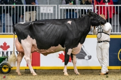 DSC01486-3 DSC01486-3