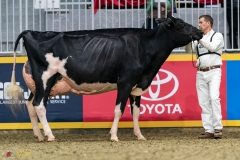 DSC01499-2 DSC01499-2