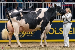 DSC01505-2 DSC01505-2